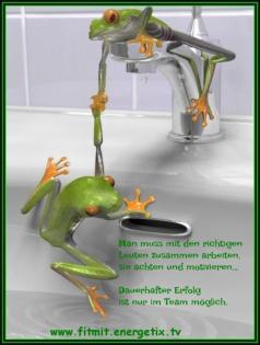 Nebenerwerb/ Zusatzverdienst